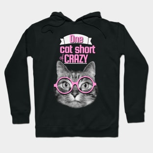 One cat short of crazy Hoodie